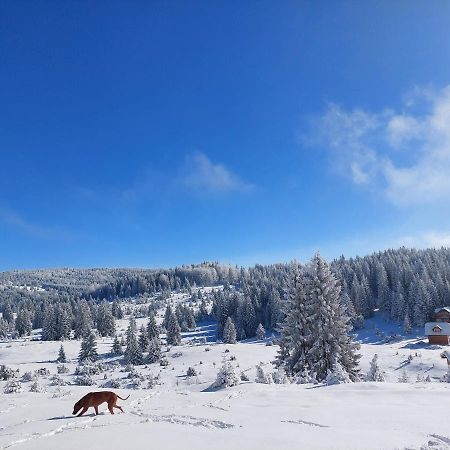 Villa Gold Hill Sekulic Esterno foto